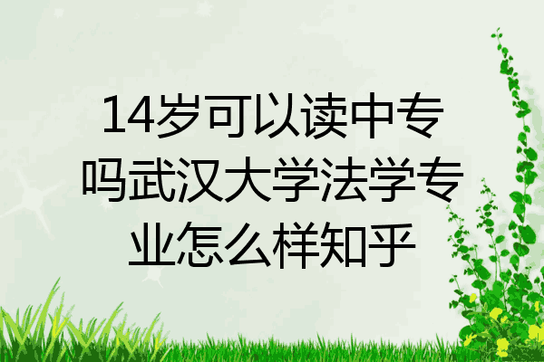 14岁可以读中专吗武汉大学法学专业怎么样知乎
