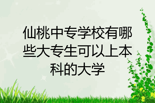 仙桃中专学校有哪些大专生可以上本科的大学