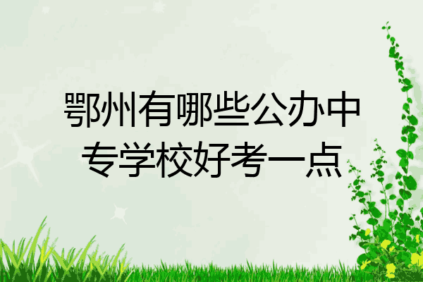 鄂州有哪些公办中专学校好考一点