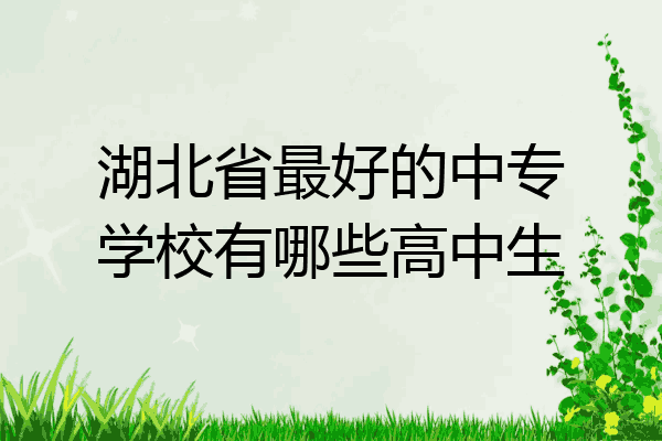 湖北省最好的中专学校有哪些高中生