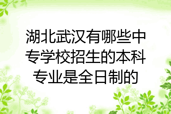 湖北武汉有哪些中专学校招生的本科专业是全日制的