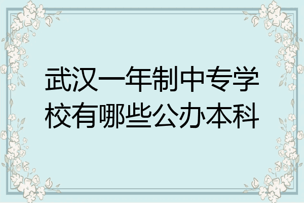 武汉一年制中专学校有哪些公办本科