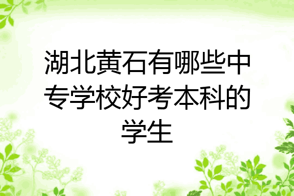 湖北黄石有哪些中专学校好考本科的学生