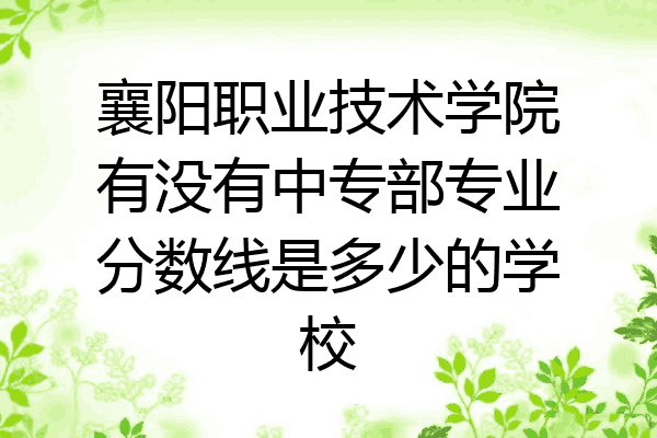 襄阳职业技术学院有没有中专部专业分数线是多少的学校