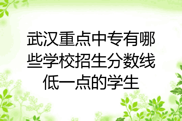 武汉重点中专有哪些学校招生分数线低一点的学生
