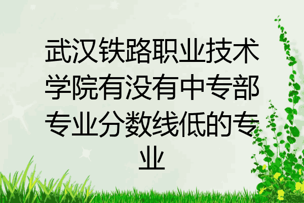 武汉铁路职业技术学院有没有中专部专业分数线低的专业