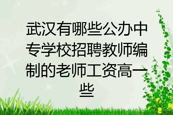 武汉有哪些公办中专学校招聘教师编制的老师工资高一些