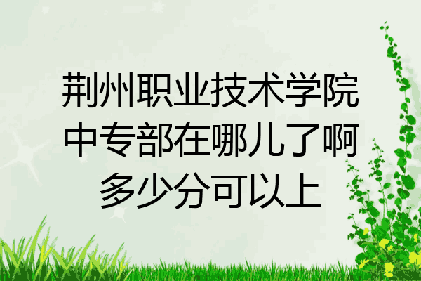 荆州职业技术学院中专部在哪儿了啊多少分可以上