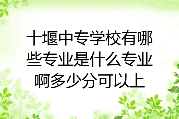 十堰中专学校有哪些专业是什么专业啊多少分可以上