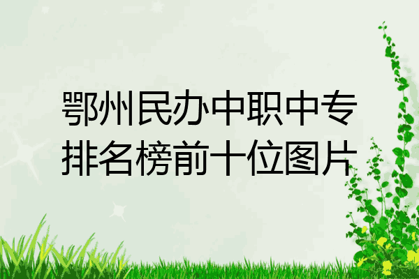 鄂州民办中职中专排名榜前十位图片