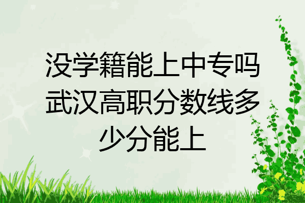没学籍能上中专吗武汉高职分数线多少分能上