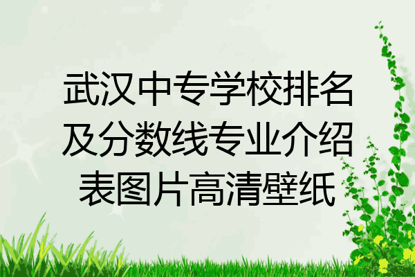 武汉中专学校排名及分数线专业介绍表图片高清壁纸