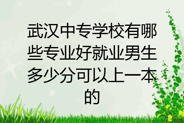 武汉中专学校有哪些专业好就业男生多少分可以上一本的