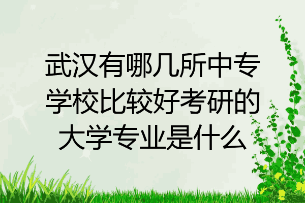 武汉有哪几所中专学校比较好考研的大学专业是什么