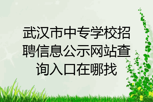 武汉市中专学校招聘信息公示网站查询入口在哪找