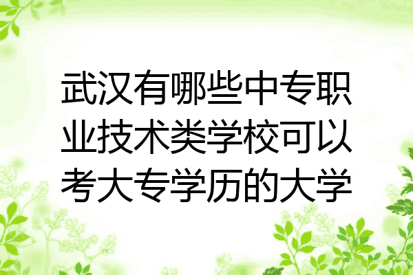 武汉有哪些中专职业技术类学校可以考大专学历的大学
