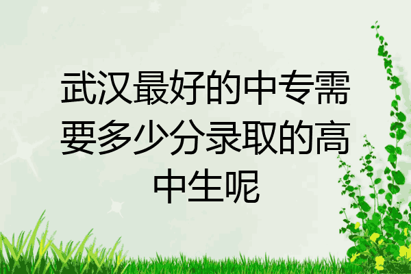 武汉最好的中专需要多少分录取的高中生呢