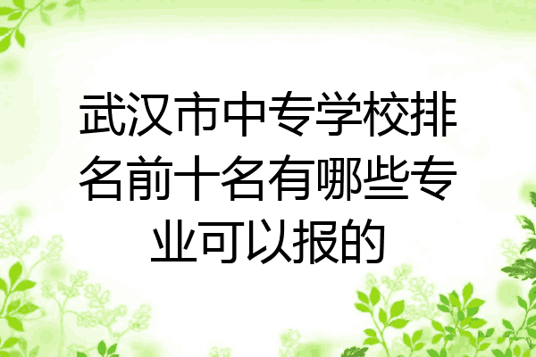 武汉市中专学校排名前十名有哪些专业可以报的