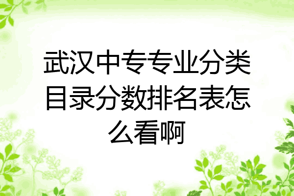 武汉中专专业分类目录分数排名表怎么看啊