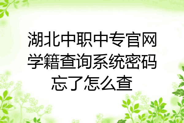湖北中职中专官网学籍查询系统密码忘了怎么查
