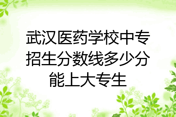 武汉医药学校中专招生分数线多少分能上大专生