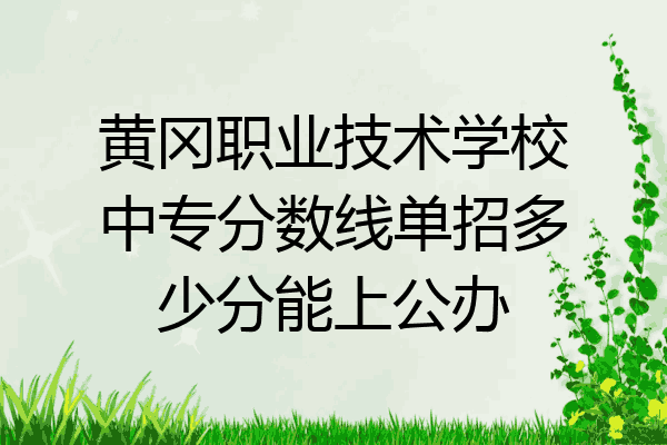 黄冈职业技术学校中专分数线单招多少分能上公办
