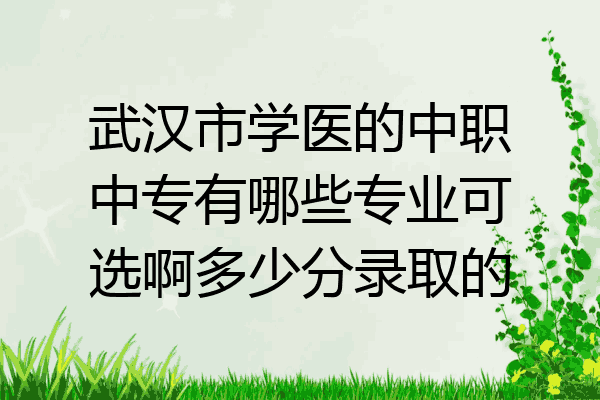 武汉市学医的中职中专有哪些专业可选啊多少分录取的
