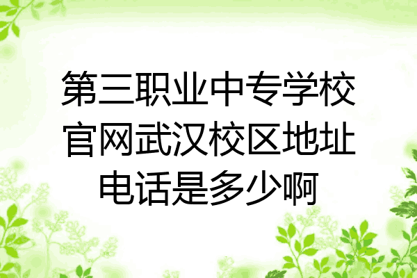 第三职业中专学校官网武汉校区地址电话是多少啊