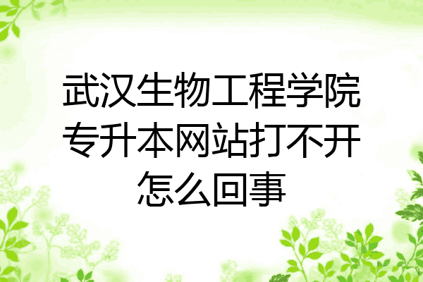 武汉生物工程学院专升本网站打不开怎么回事