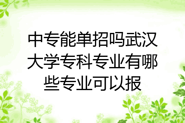 中专能单招吗武汉大学专科专业有哪些专业可以报