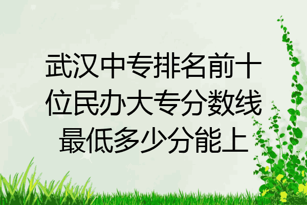 武汉中专排名前十位民办大专分数线最低多少分能上