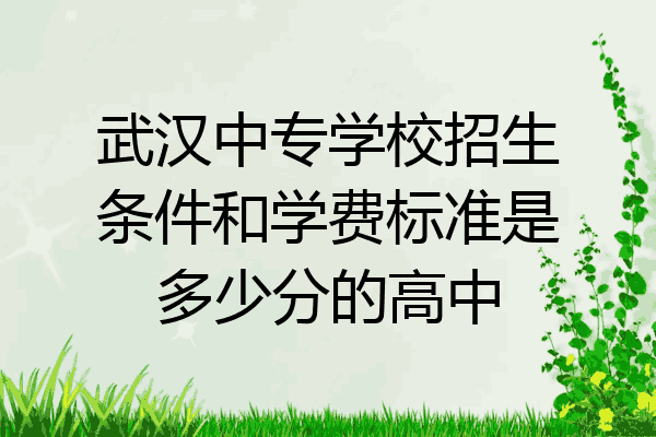 武汉中专学校招生条件和学费标准是多少分的高中