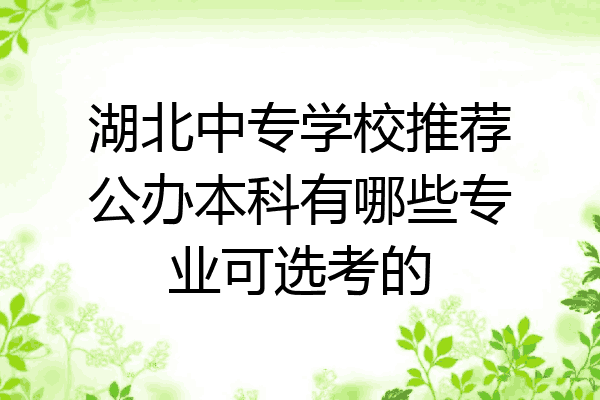 湖北中专学校推荐公办本科有哪些专业可选考的