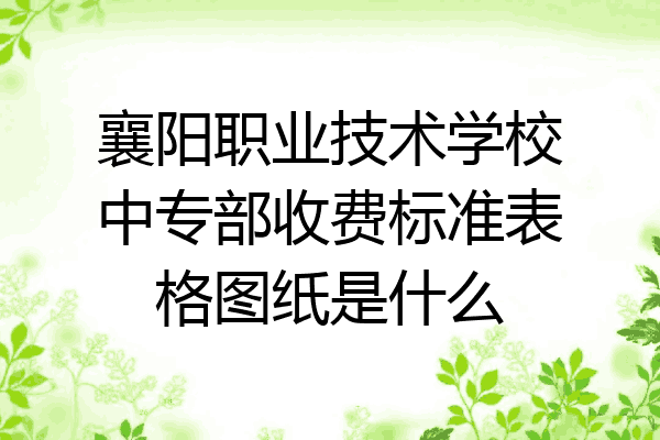 襄阳职业技术学校中专部收费标准表格图纸是什么