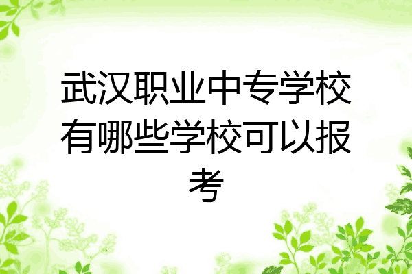 武汉职业中专学校有哪些学校可以报考