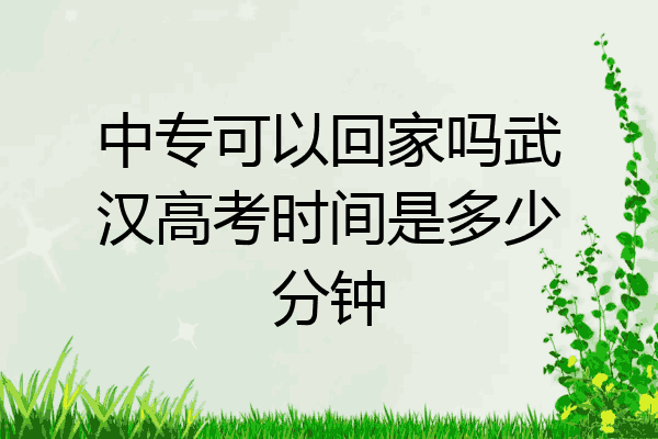 中专可以回家吗武汉高考时间是多少分钟
