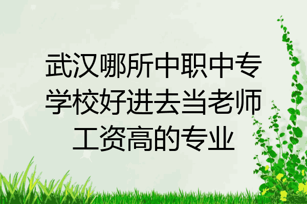 武汉哪所中职中专学校好进去当老师工资高的专业