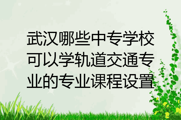 武汉哪些中专学校可以学轨道交通专业的专业课程设置