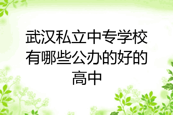 武汉私立中专学校有哪些公办的好的高中