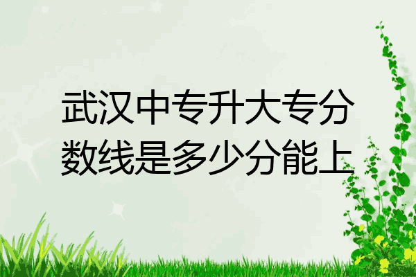 武汉中专升大专分数线是多少分能上