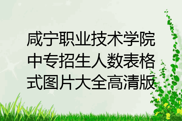 咸宁职业技术学院中专招生人数表格式图片大全高清版