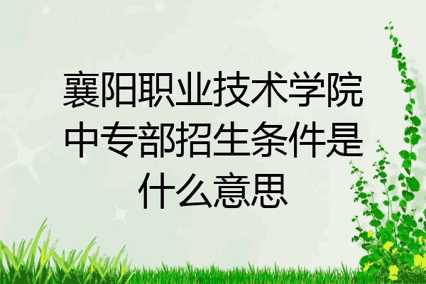 襄阳职业技术学院中专部招生条件是什么意思