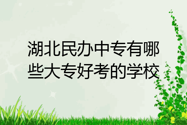 湖北民办中专有哪些大专好考的学校