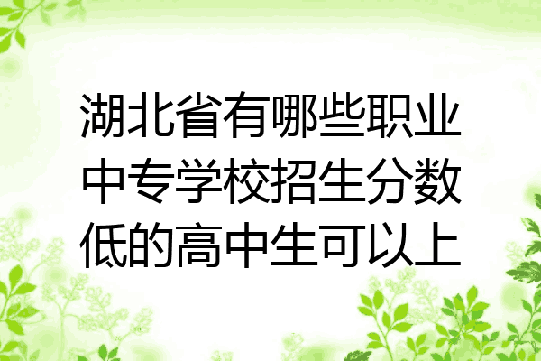 湖北省有哪些职业中专学校招生分数低的高中生可以上