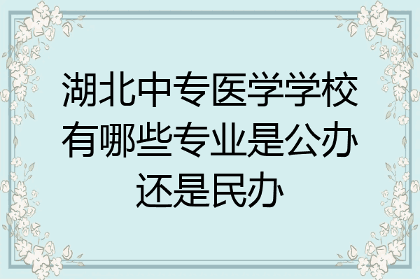湖北中专医学学校有哪些专业是公办还是民办
