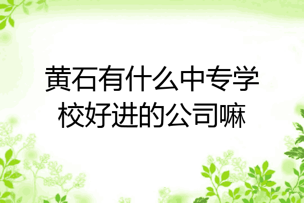 黄石有什么中专学校好进的公司嘛