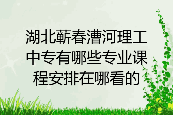 湖北蕲春漕河理工中专有哪些专业课程安排在哪看的