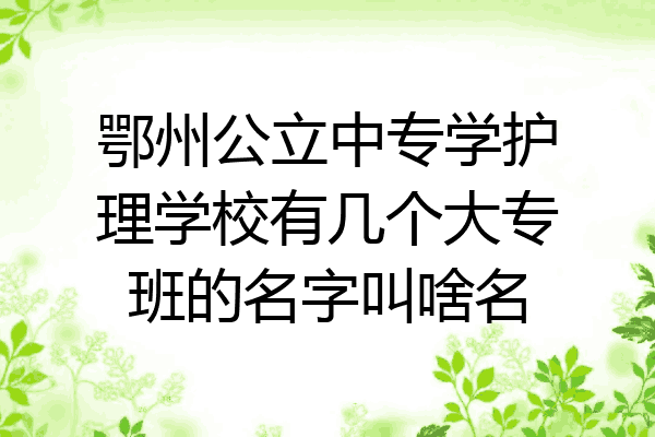 鄂州公立中专学护理学校有几个大专班的名字叫啥名