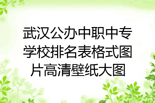 武汉公办中职中专学校排名表格式图片高清壁纸大图