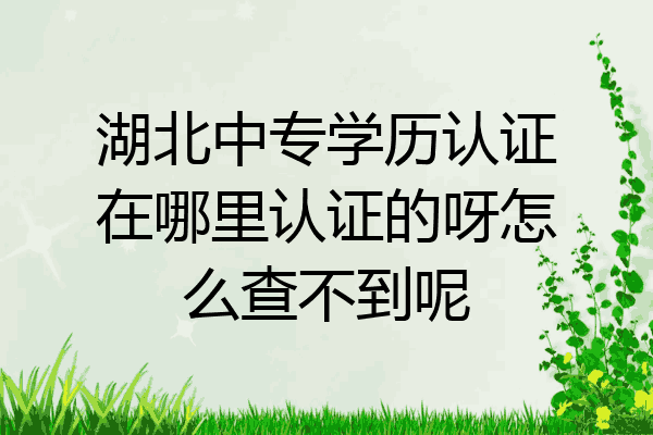 湖北中专学历认证在哪里认证的呀怎么查不到呢